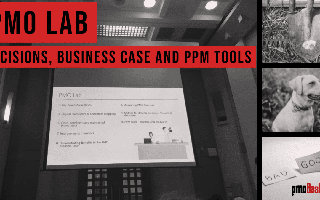 PMO Lab: Driving Executive Business Decisions
