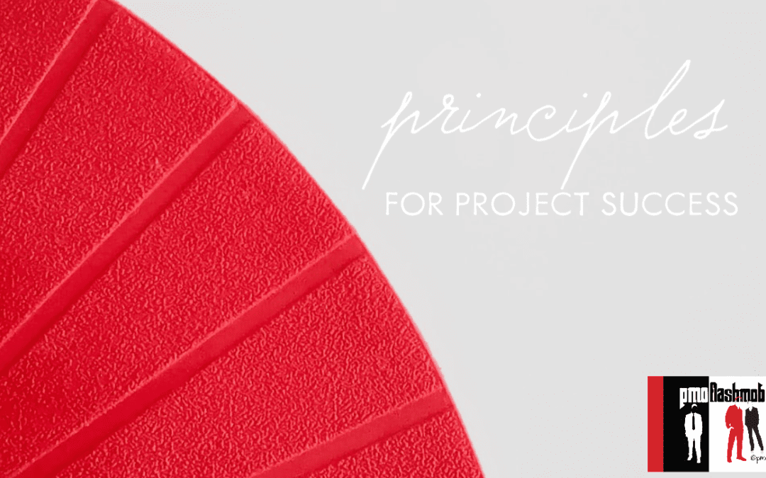 Principles for Project Success