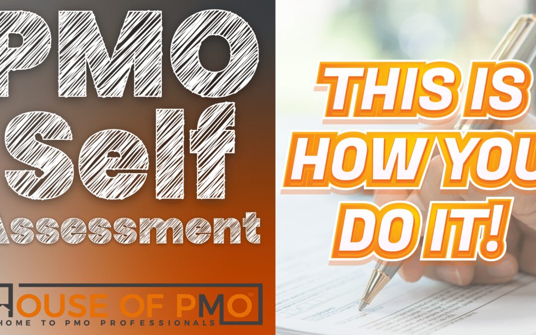PMO Practitioner Professional Development with Self-Assessments