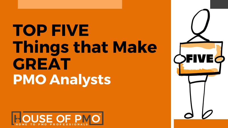 What Makes a Great PMO Analyst