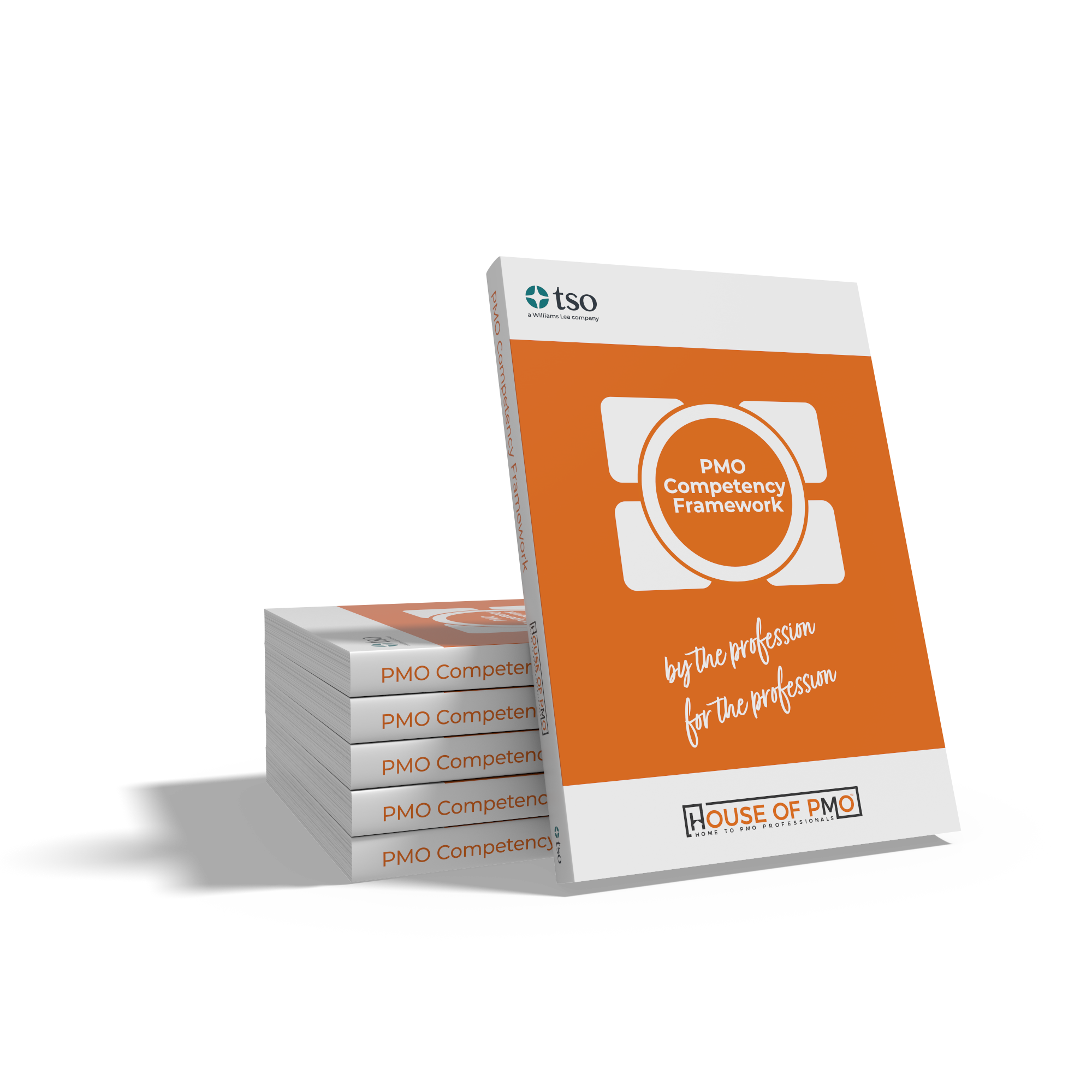 pmo-competency-framework-copies competency framework PMO copies